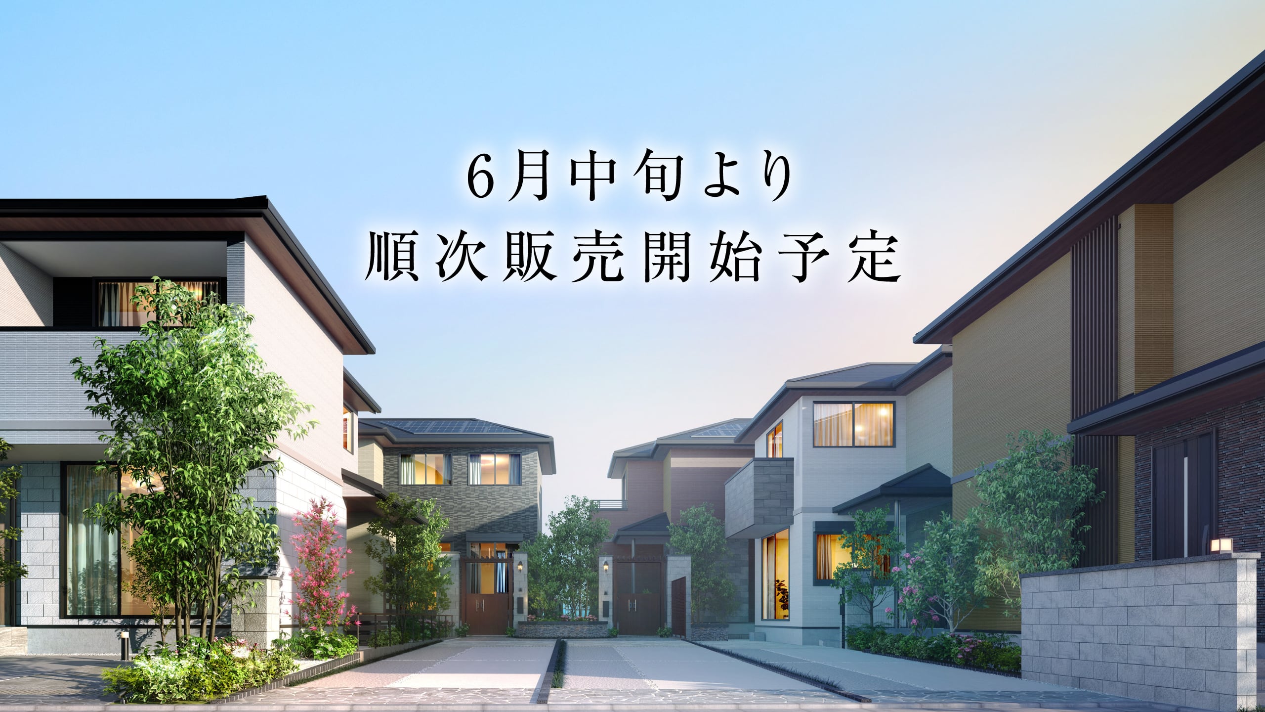 6月中旬より順次販売開始予定