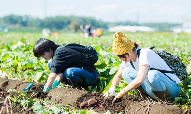 しだみゅー秋まつり